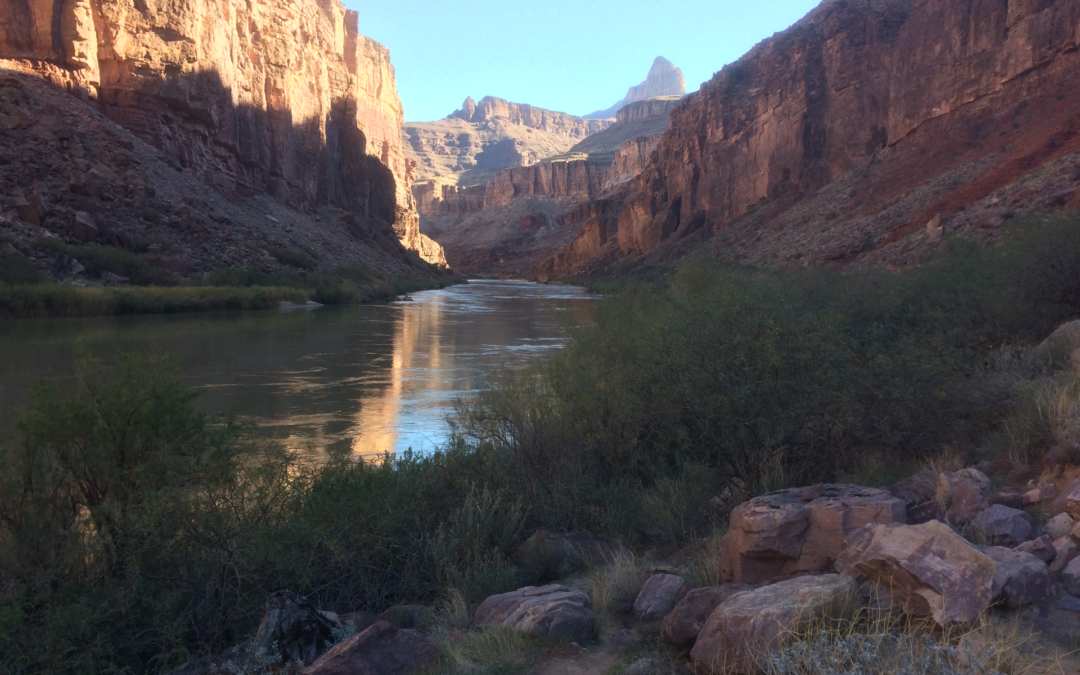 Geologic Immersion Backpacking: Grand Canyon Escalante Route