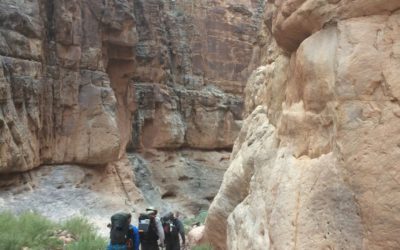 Top 5 Reasons to Backpack the Escalante Route in Grand Canyon