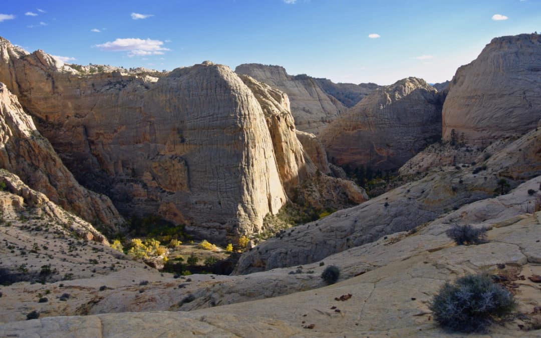 Geologic Immersion Backpacking: Boulder Mail Trail Utah