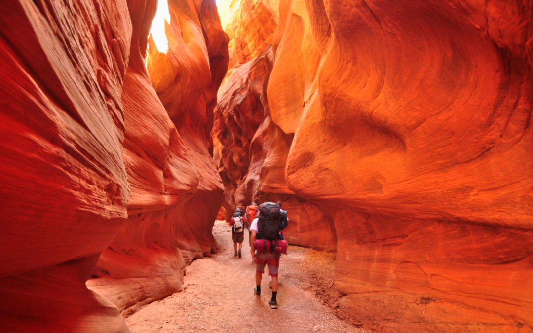 Top 5 Backpacking Trips in Grand Staircase-Escalante National Monument