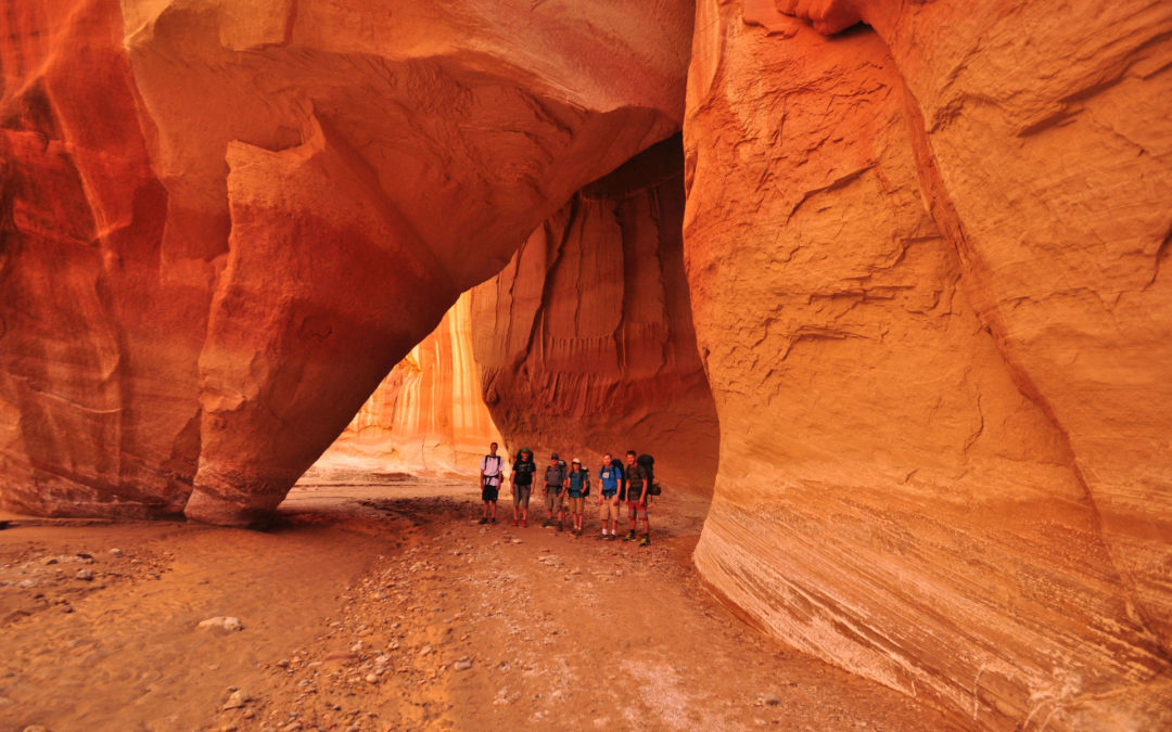 Top 5 Backpacking Trips in the Southwest