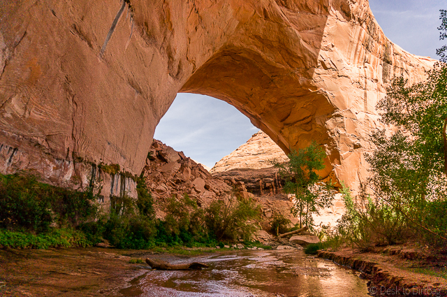 Geologic Immersion Backpacking:  Coyote Gulch