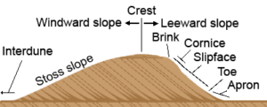 this shows how eolian sand dunes form on the landsacep