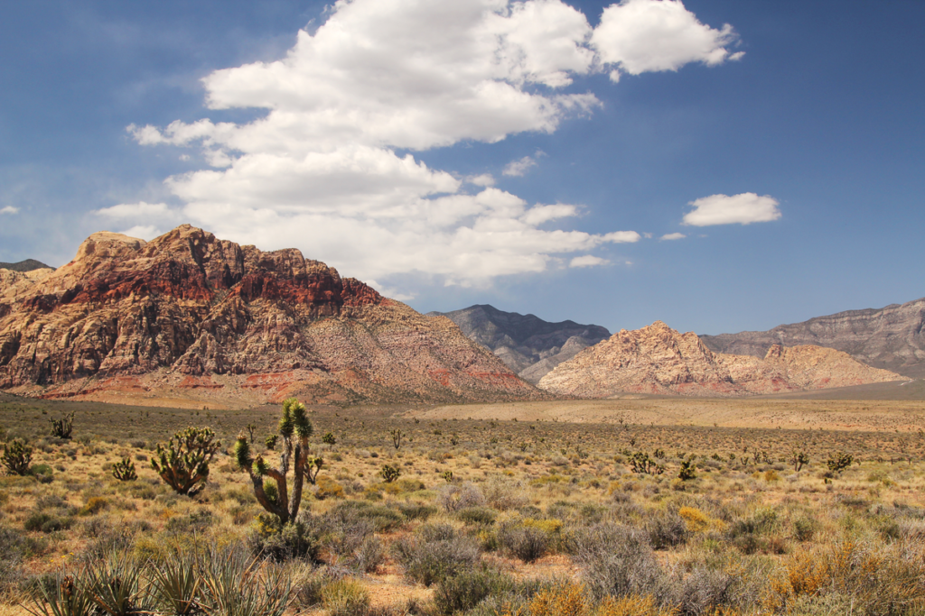 Take Your Wild West Vacation To The Next Level | Guided Tours