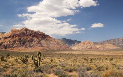 Take Your Wild West Vacation To The Next Level