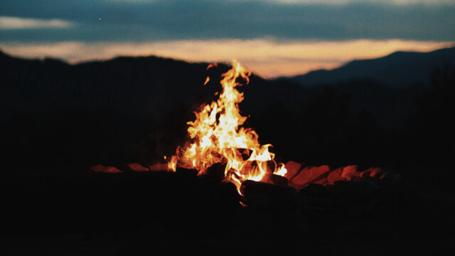 fire bone